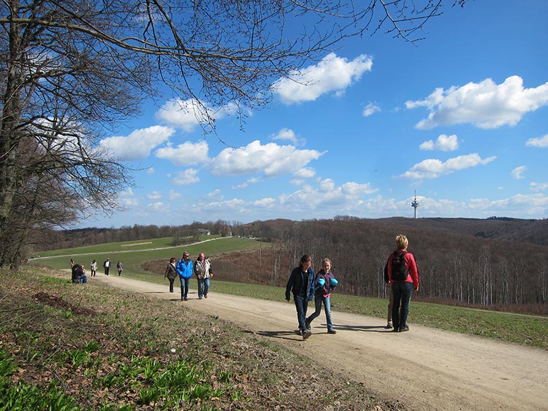 Kahlenberg